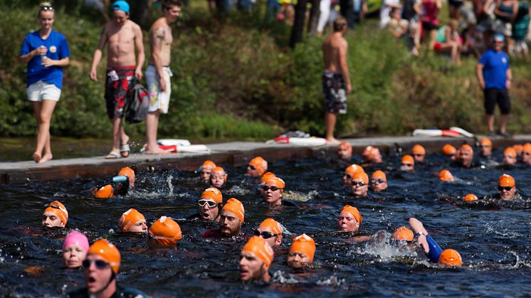 Simmare på upploppet i Västerdalälven