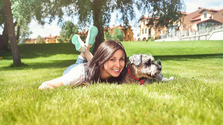 Frau mit Hund auf einer Wiese liegend