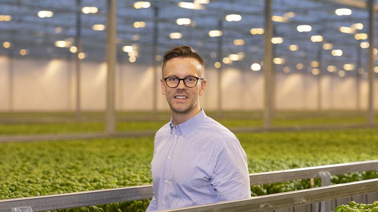 Oscar Rosdahl är VD för Svegro som odlar örter och sallat och satsar på utveckling av gröna smaker i form av t ex färsk örtpesto.