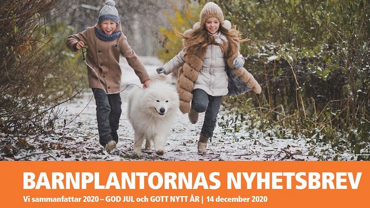 BARNPLANTORNAS NYHETSBREV sammanfattar 2020