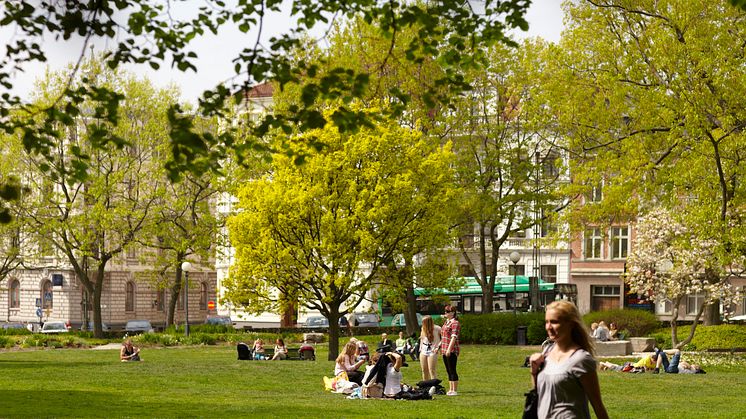 Internationell konferens i Helsingborg om publika parker och trädgårdar