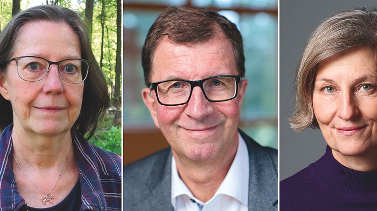 Hedersdoktorer vid Luleå tekniska universitet 2018, Lilian Ryd, Lars Martinson och Gertrud Åström