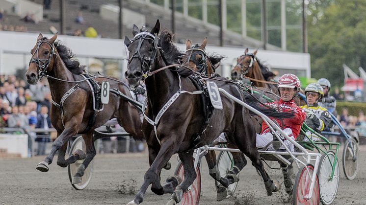 V75-jackpot och årsdebuterande topphäst