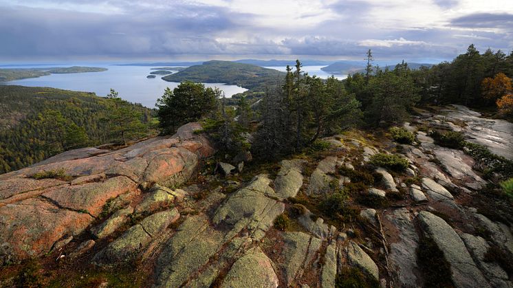 Nu blir Skuleskogens nationalpark tillgänglig för fler besökare