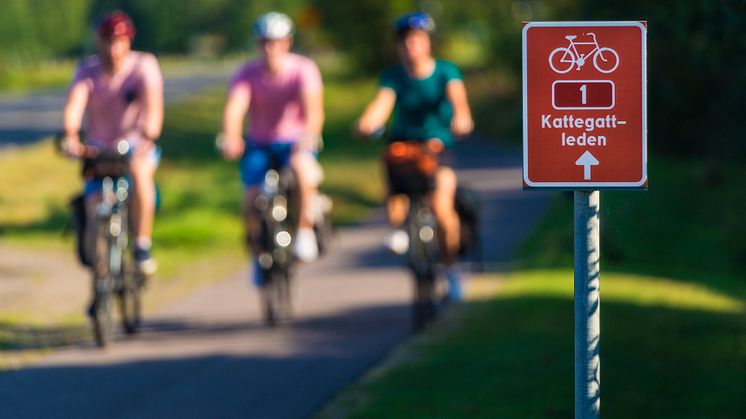 Kattegattleden is number one among european cycle routes 2018.