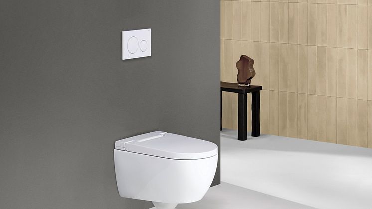 2024_Geberit AquaClean Alba_Private_Sigma20_grey_deco_Original.jpeg