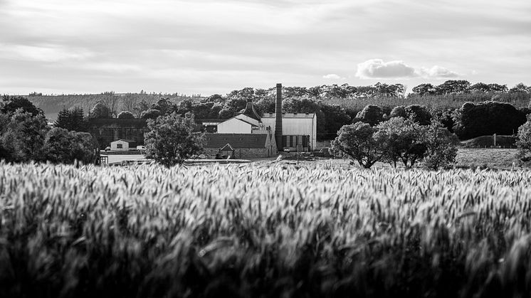 Knockdhu Distillery