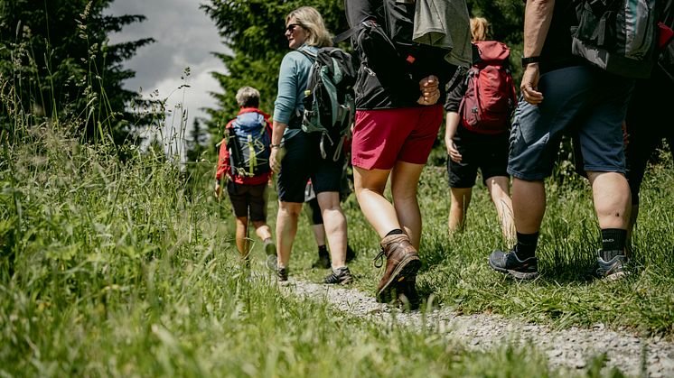 Wanderung in der Gruppe_Foto TVE_Dirk_Rueckschloss