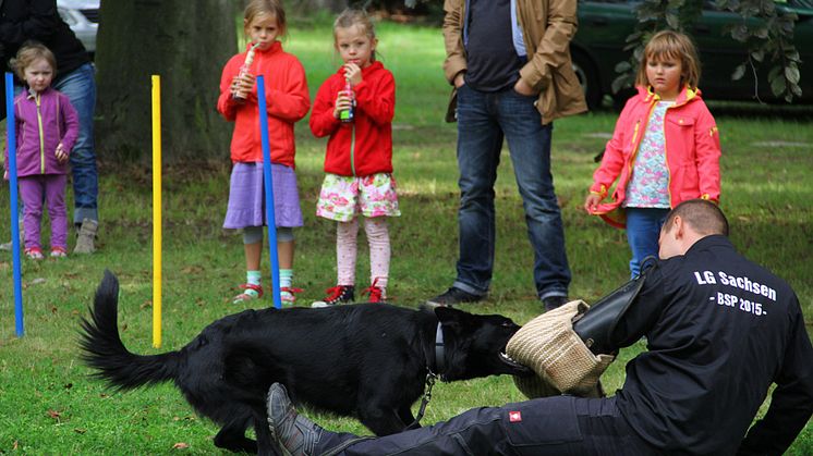 Tag der offenen Tür 2015