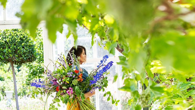 Färgsprakande sommarflor på Sofiero