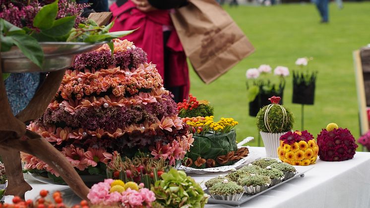 ​En trädgårdsfest med nya upptäckter