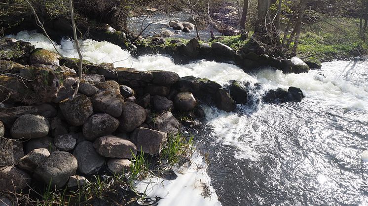 Vackra Silverforsen är en del av Kävlingeån och den når man via Folkets park. Foto: Kävlinge kommun