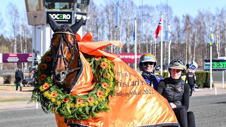 San Moteur är redan inbjuden till VM-loppet som avgörs på amerikanska Yonkers i oktober. Men innan dess ställs Björn Goops stjärna inför ett möte med bland annat Elitloppshästen Önas Prince i Jubileumspokalen. Foto: TR Bild