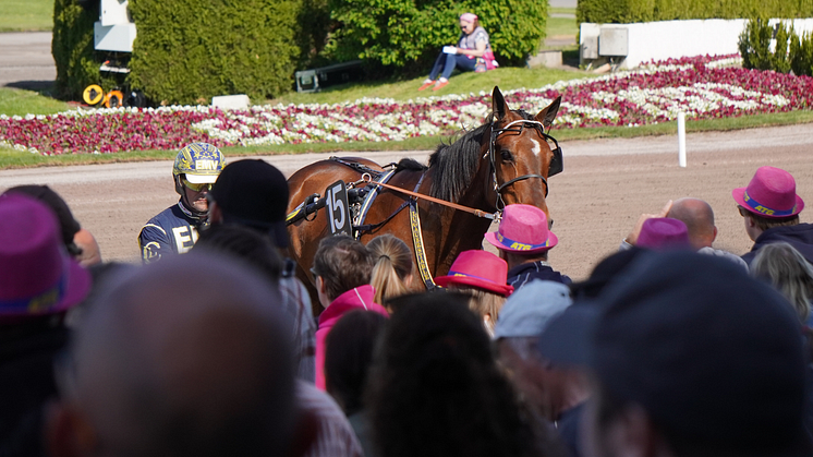 Elitloppsfredagen får ny starttid och huvudspelform. Foto: Solvalla