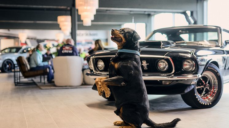 Mustang 60 år feiring Bilfabrikken 2024 (25).jpg