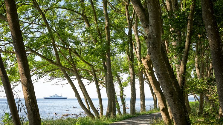 View of Jeløya, Moss, Norway. Photo: Eivind Lauritzen. Courtesy Galleri F 15.