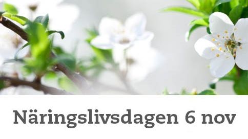 Inkubatorn i Borås är medarrangör till Borås första Näringslivsdag  