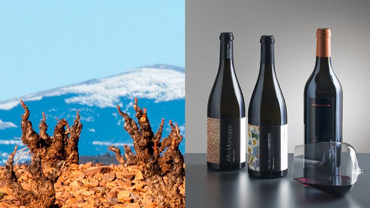 Alto Moncayo ligger i Campo de Borja som producerar många av Spaniens främsta Garnachaviner från gamla, knotiga rankor. Klimatet, den unika jordmånen och Alto Moncayos okonventionella produktionsmetoder resulterar i minst sagt storartade viner.