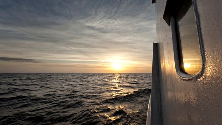Världshavsdagen åttonde juni - Försämrad havsmiljö oroar svenskarna