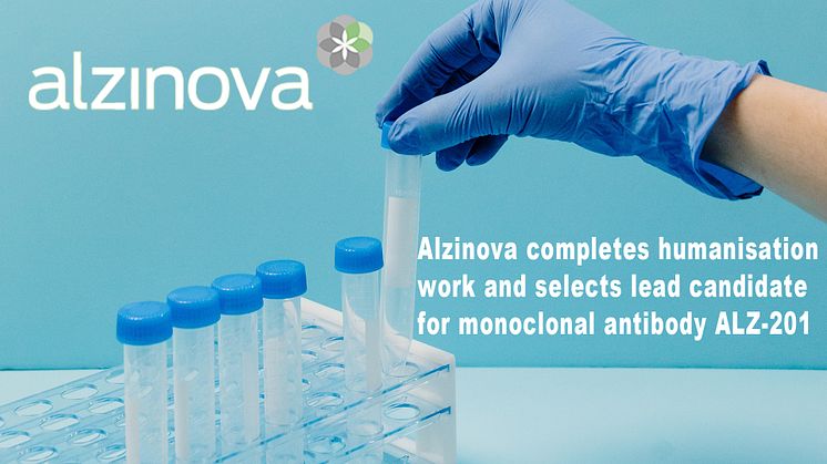 Alzinova completes humanisation work and selects lead candidate for monoclonal antibody ALZ-201
