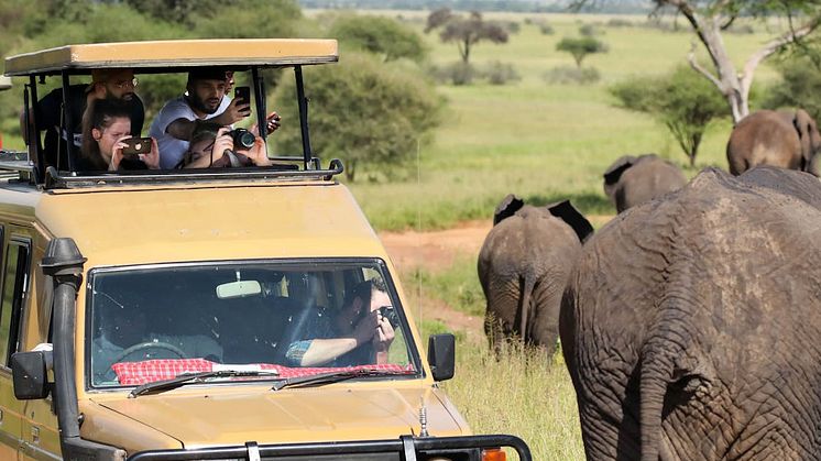 Tag på dit livs ferie med safari i Tanzania – verdens bedste safariland