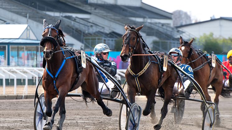 Christoffer Eriksson och Digital Races slår ur underläge i Svenskt Travderby. Foto: Mikael Rosenquist/MiRo Media