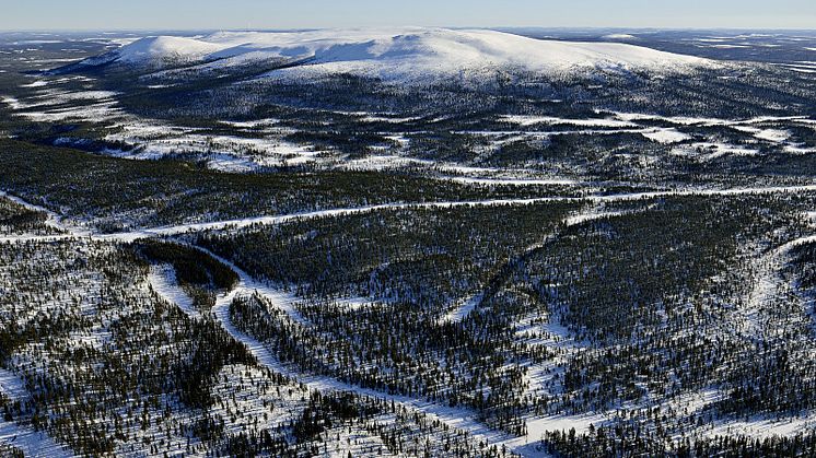 Gemensam kraftsamling sker med stöd från Boliden Mineral AB, Gällivare kommun, LKAB och Sparbanken Nord - Framtidsbanken.​