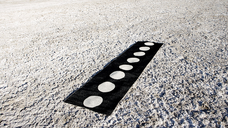 WallVision expands into designer rugs through the acquisition of Pappelina