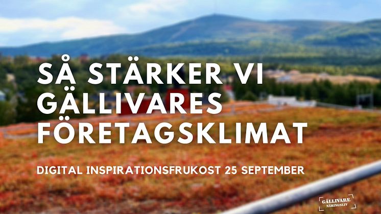 Så stärker vi Gällivares företagsklimat