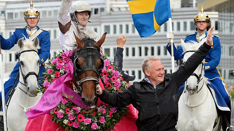 Franske Dijon segrade i Elitloppet 2019. Foto: TR Bild