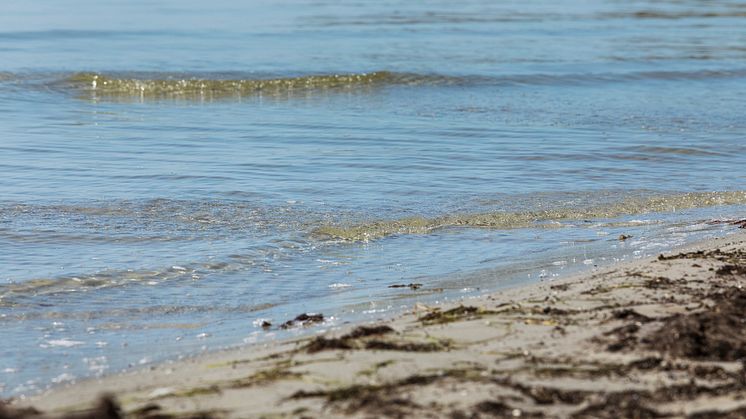 Östersjön är ett av världens mest förorenade hav. Foto: Sölvesborgs kommun