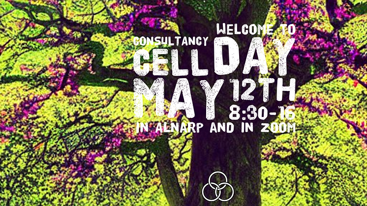 Invitation to Concultancy Cell Day