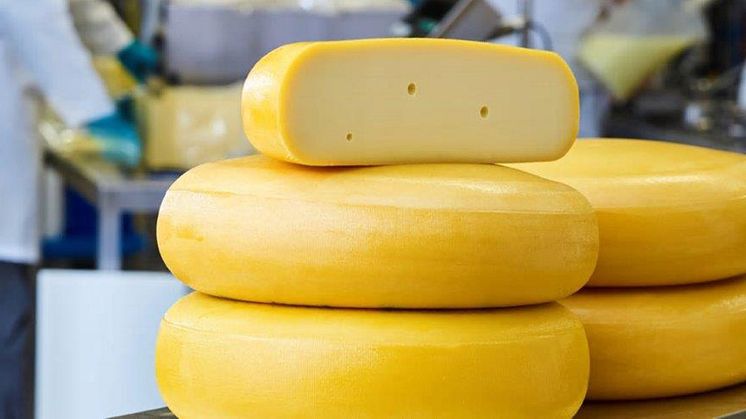 CHY-MAX® Supreme maximizes value by allowing the cheesemaker to produce considerably more cheese out of the same amount of milk.