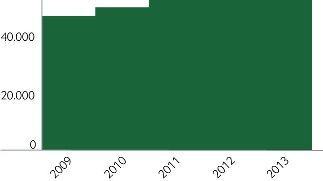 Arlas omsætning 2009-2013