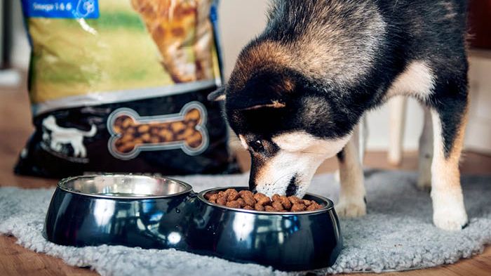 Höstens nyhet - premiumfoder för hund och katt