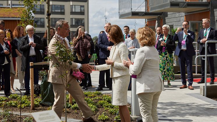 Jonas Spangenberg, VD BoKlok och H.M. Drottningen vid rosplanteringen under invigningen av SilviaBo i Helsingborg.