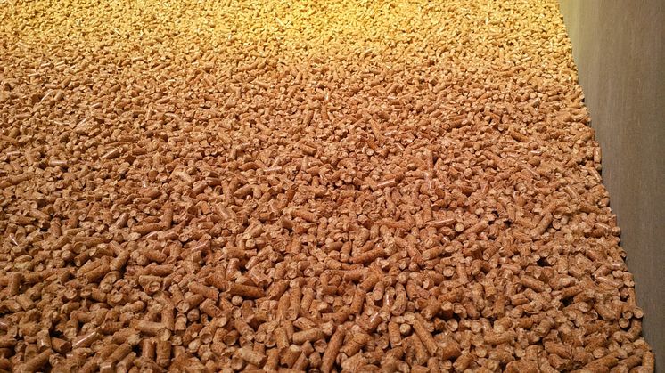 I 2016 var hele 43 procent af Danmarks anvendte biomasse importeret fra udlandet. Foto: Wikimedia Commons.