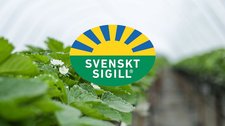 IP Sigill Frukt & Grönt säkrar att maten du får i dig är säker