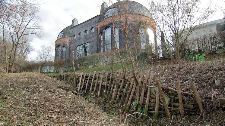 Goetheanum-Park: Einrichten eines Feuchtgebiets