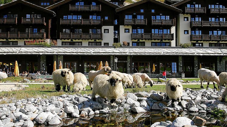 Riffelalp Resort Zermatt