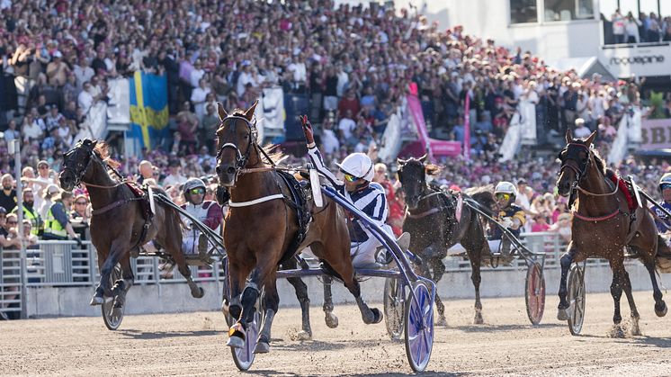 Horsy Dream vinner Elitloppet 2024 med Eric Raffin i sulkyn. Foto: Lena Emmoth/TR Bild.