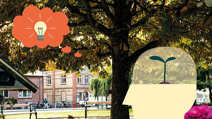 Beslut om riktlinjer för medborgarbudget i byarna