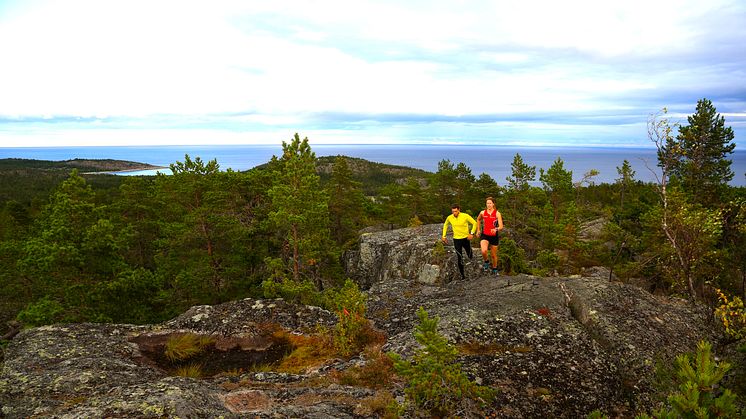 Sverige, och Höga Kusten söker VM i orientering!