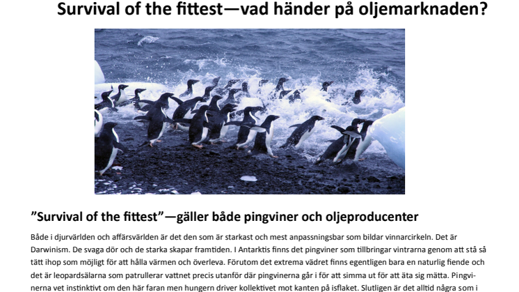 Modity månadsbrev: Oljemarknaden - Survival of the fittest