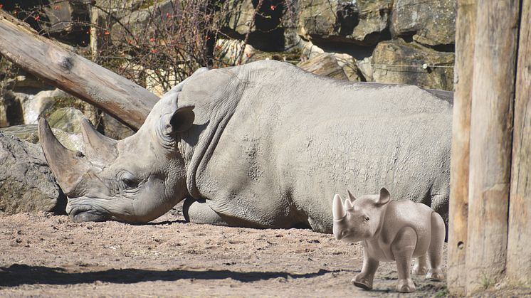 Tierischer Spaß im Allwetterzoo Münster