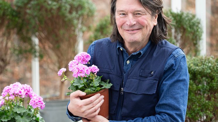 I år är det stilikonen och pelargonälskaren Svante Öquist som presenterar Årets Pelargon. Foto: Blomsterfrämjandet/Anna Clarén