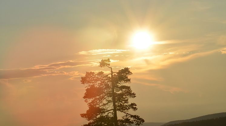 Sunne jaktmässa 2-3 augusti