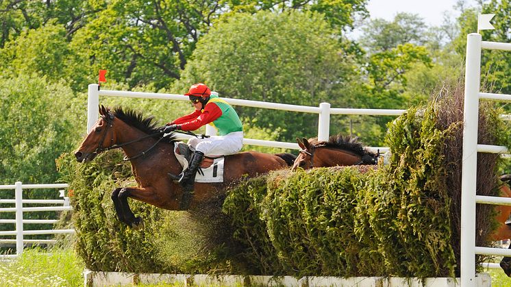 Tysk seger i Svenskt Grand National 