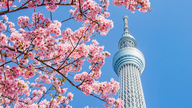 Capture your memories of TOKYO SKYTREE