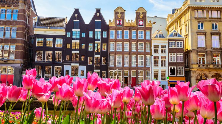 Holland lockar med blomsterprakt och vindlande kanaler i vår. Foto: Olena Z/Shutterstock.com